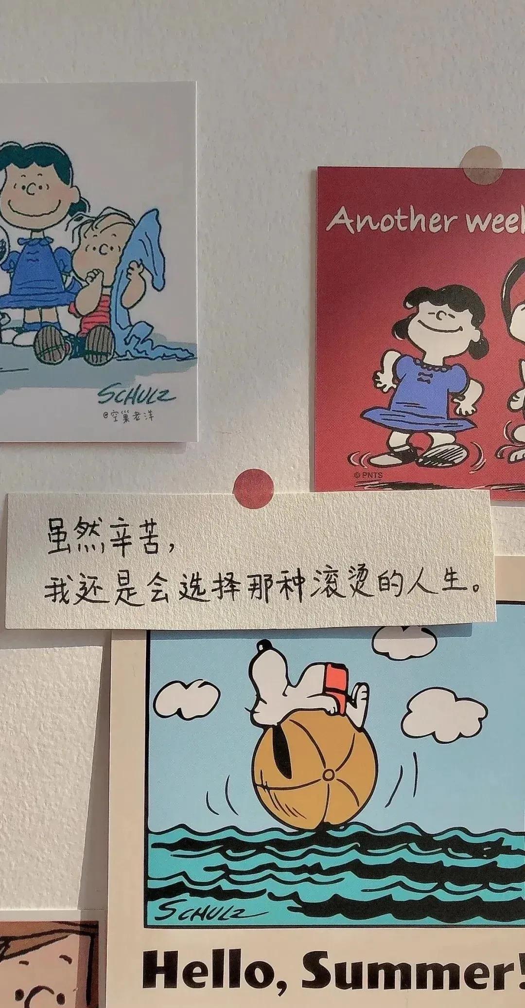 高考加油 万事胜意！
愿你高考前后没有乱七八糟的诅咒和突如其来的疾病，高考那两天