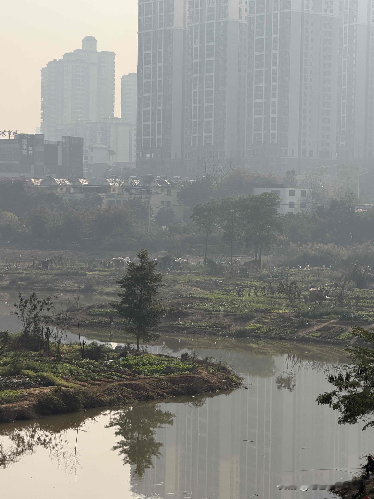 现在去开垦菜地还来得及吗[泣不成声]

 南宁身边事