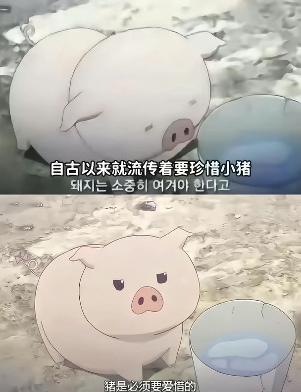 分享图片 