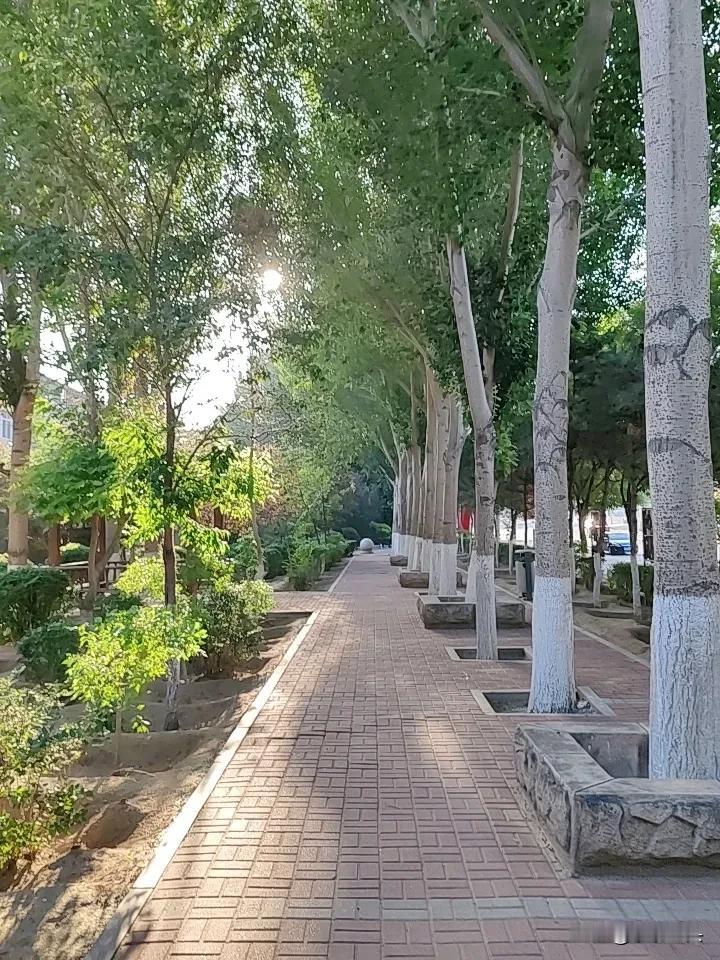 老友们评说下，
说这话的女人是聪明，
还是愚蠢，
虽然我是男人，
我说的是公平话
