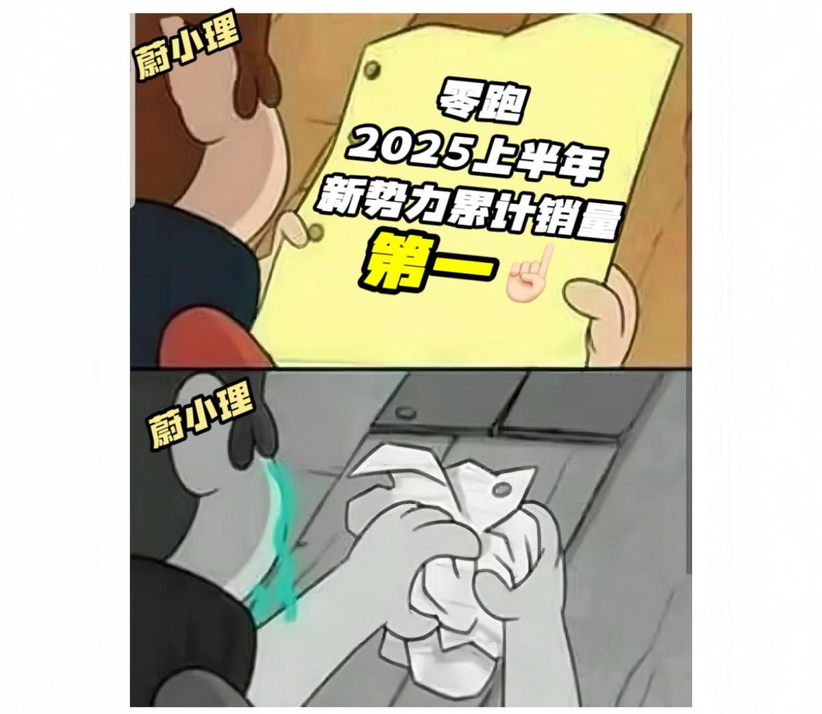 新势力6月销量榜亮点满满，零跑再夺冠军，问界、理想位列二、三。
 
新势力诞生的