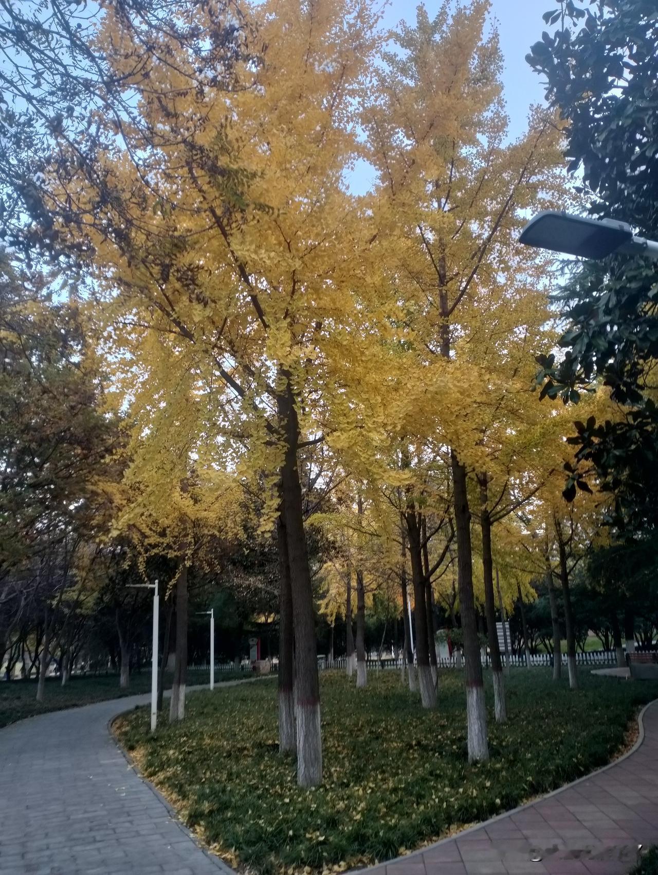 跑步🏃🏻‍♂️跑步