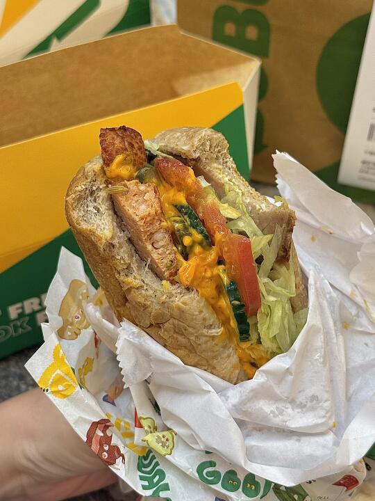 热亖人的天唯一有食欲吃的。。赛百味抄作业