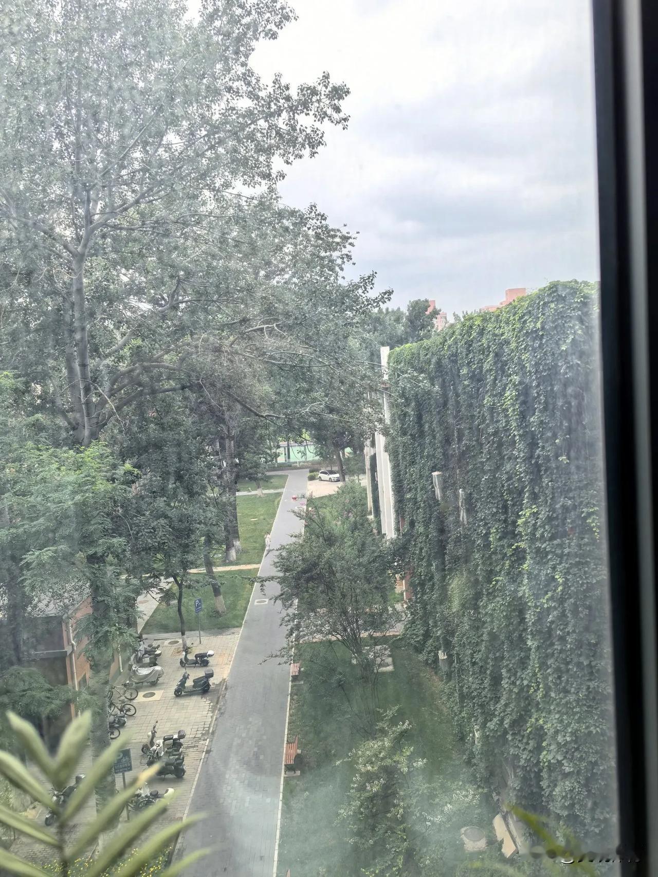 领导有病，下属吃药。
命运共同体？