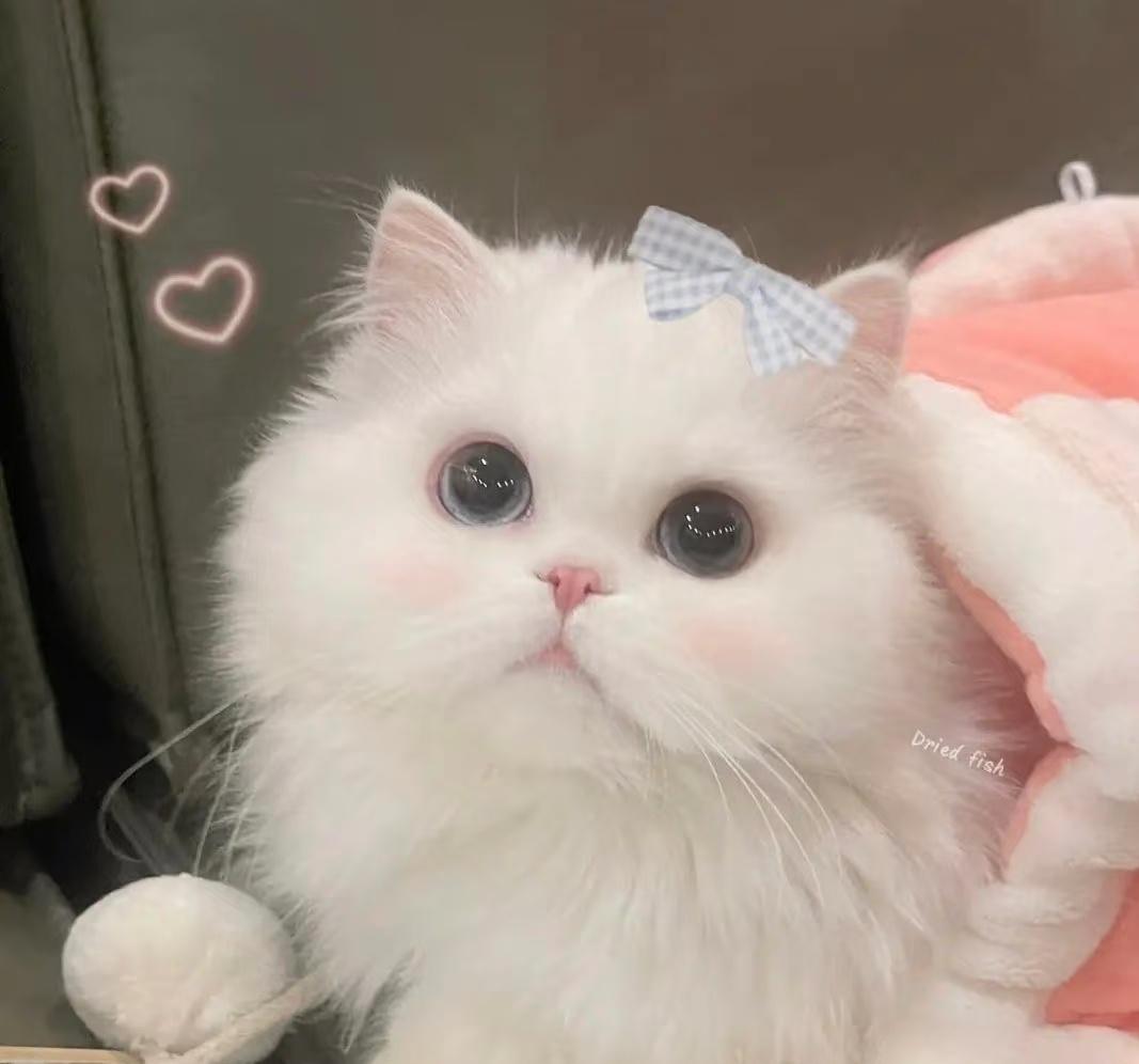 ​​​