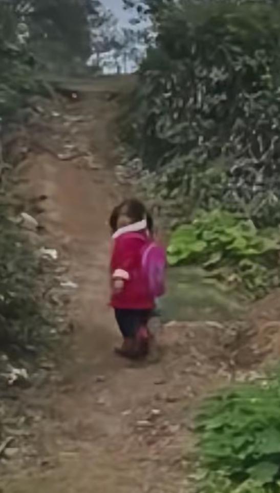 10多米的土路，4次回头挥手——河南信阳这一幕，看完鼻子瞬间就酸了！

乡村小姑