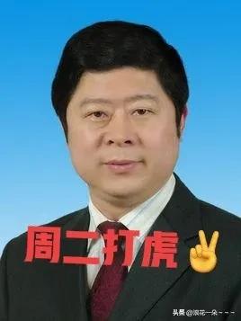 就在刚刚，
看到“博士厅官”王炜被查，于是看了一下他的工作履历，62岁的他是湖北