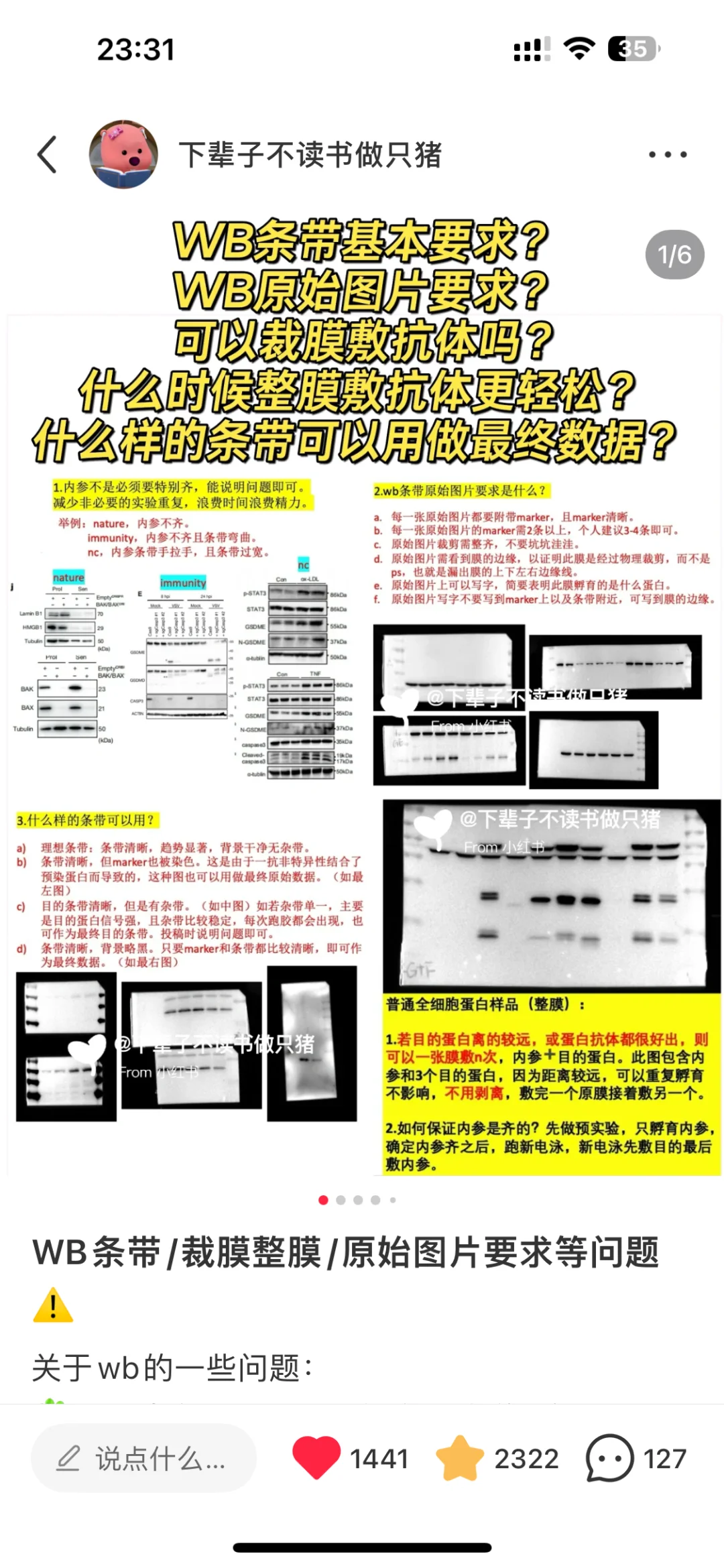 🌟🌟🌟wb条带原始图片（裁剪➕合并怎么弄❓）