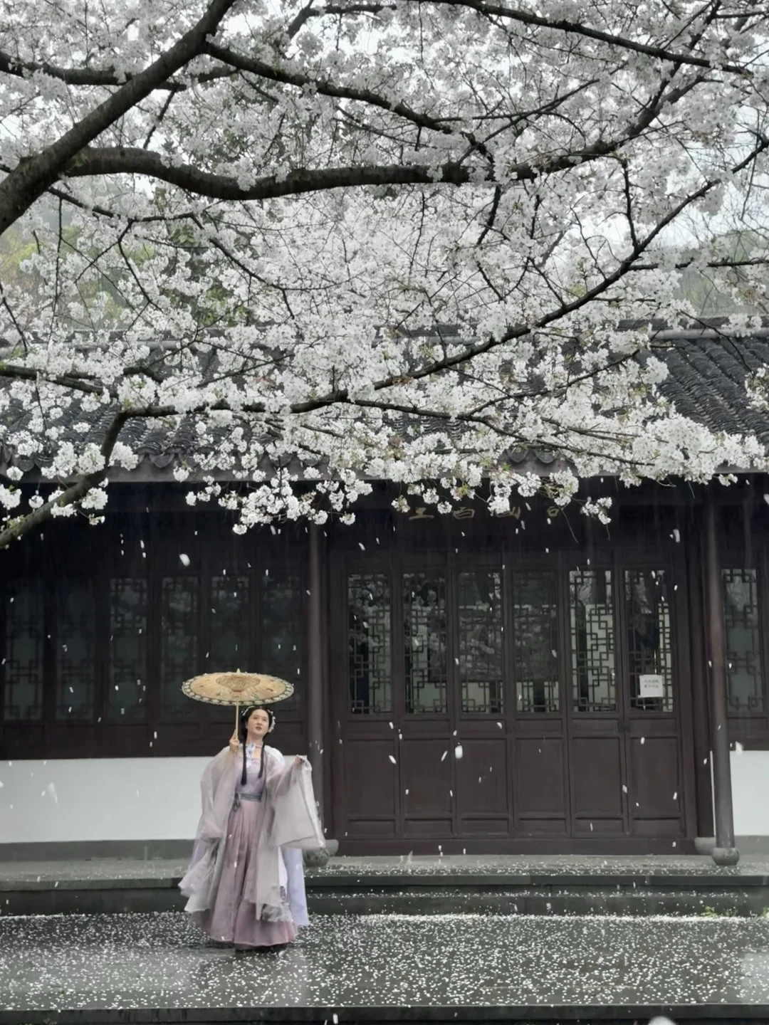 用18张live图告诉你🍃杭州的春天有多浪漫🌸