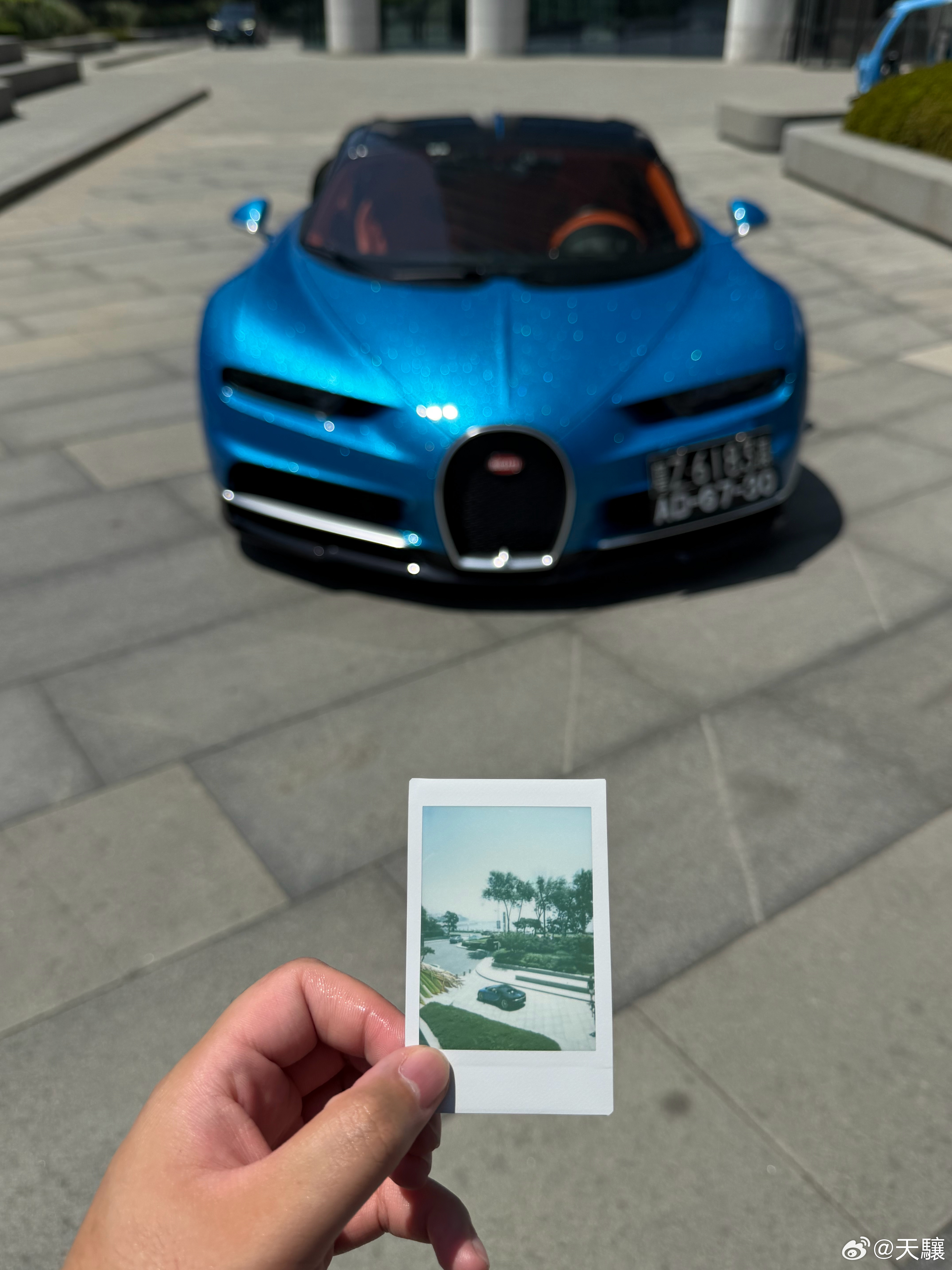 山外来了个呆萌 