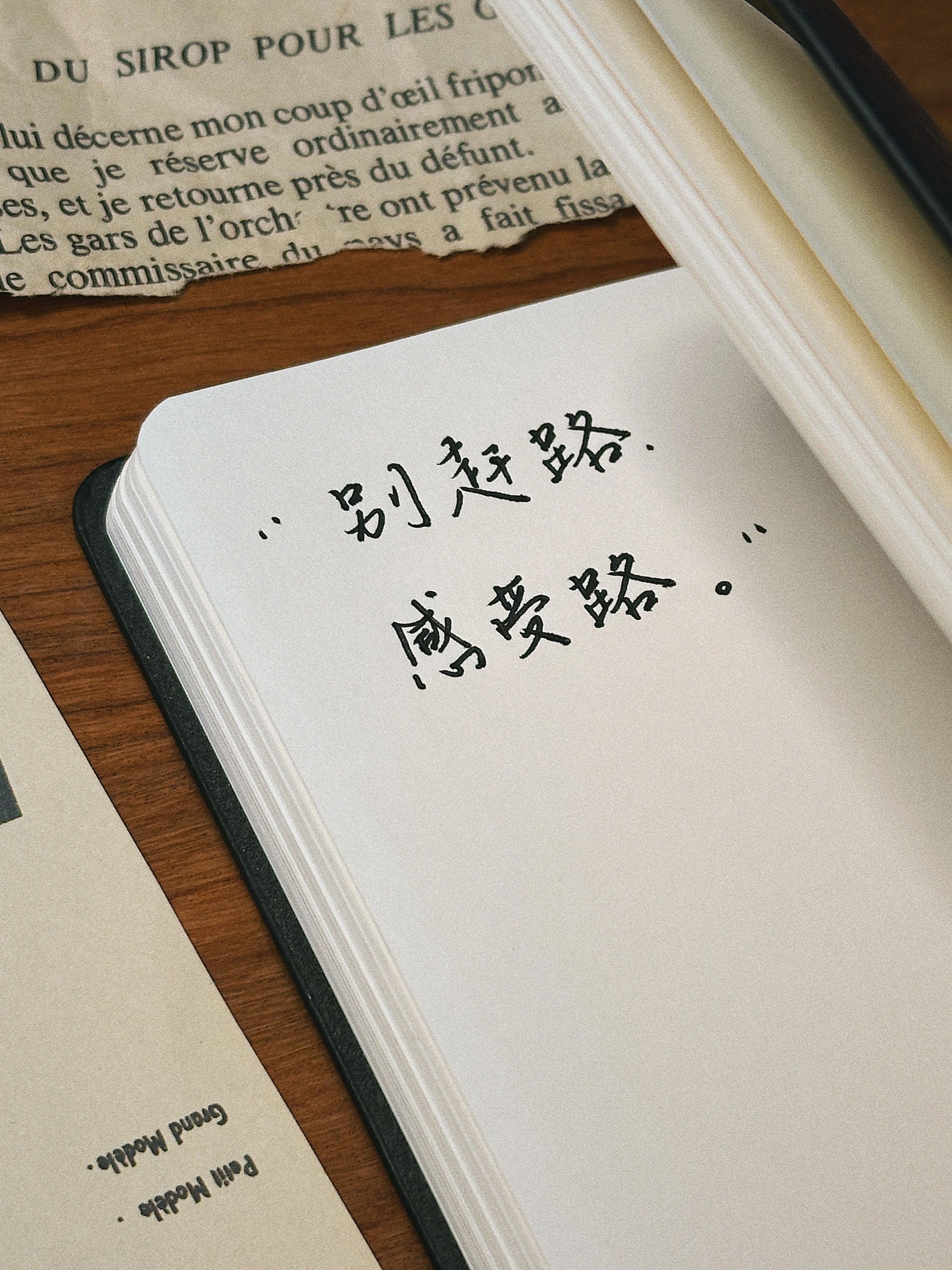 “每个人都在一边崩溃，一边自愈。”“这乱糟糟的世上还有人拿着花四处走。”/《火与
