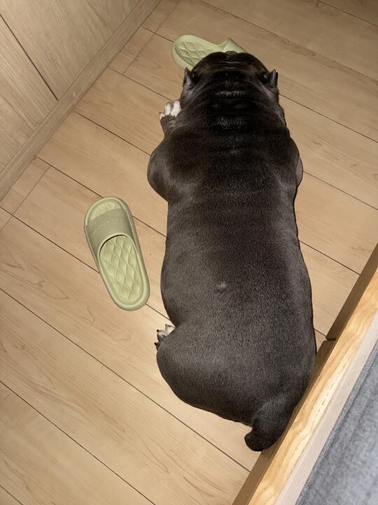 陪俺妈睡会