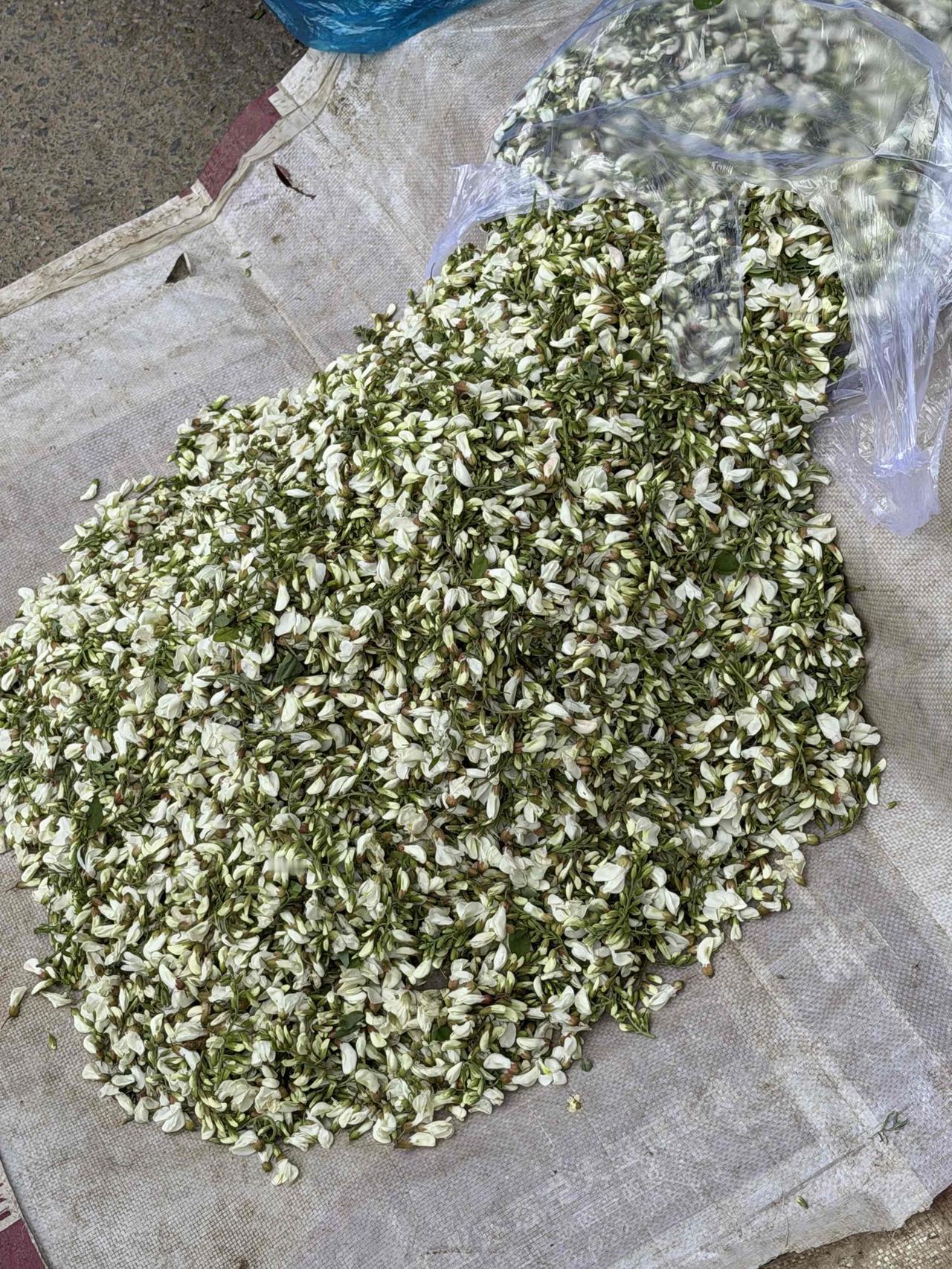 今天上午，我在西安洒金桥里面的劳武巷，终于买到了槐花，中午准备包大肉槐花饺子吃！