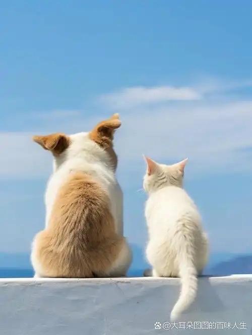 一个人再好，对你不好，没有用。
一个人再富有，心里没你，也没有用

真正的幸福是