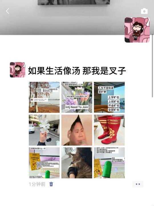 那个抽象女又在发朋友圈了