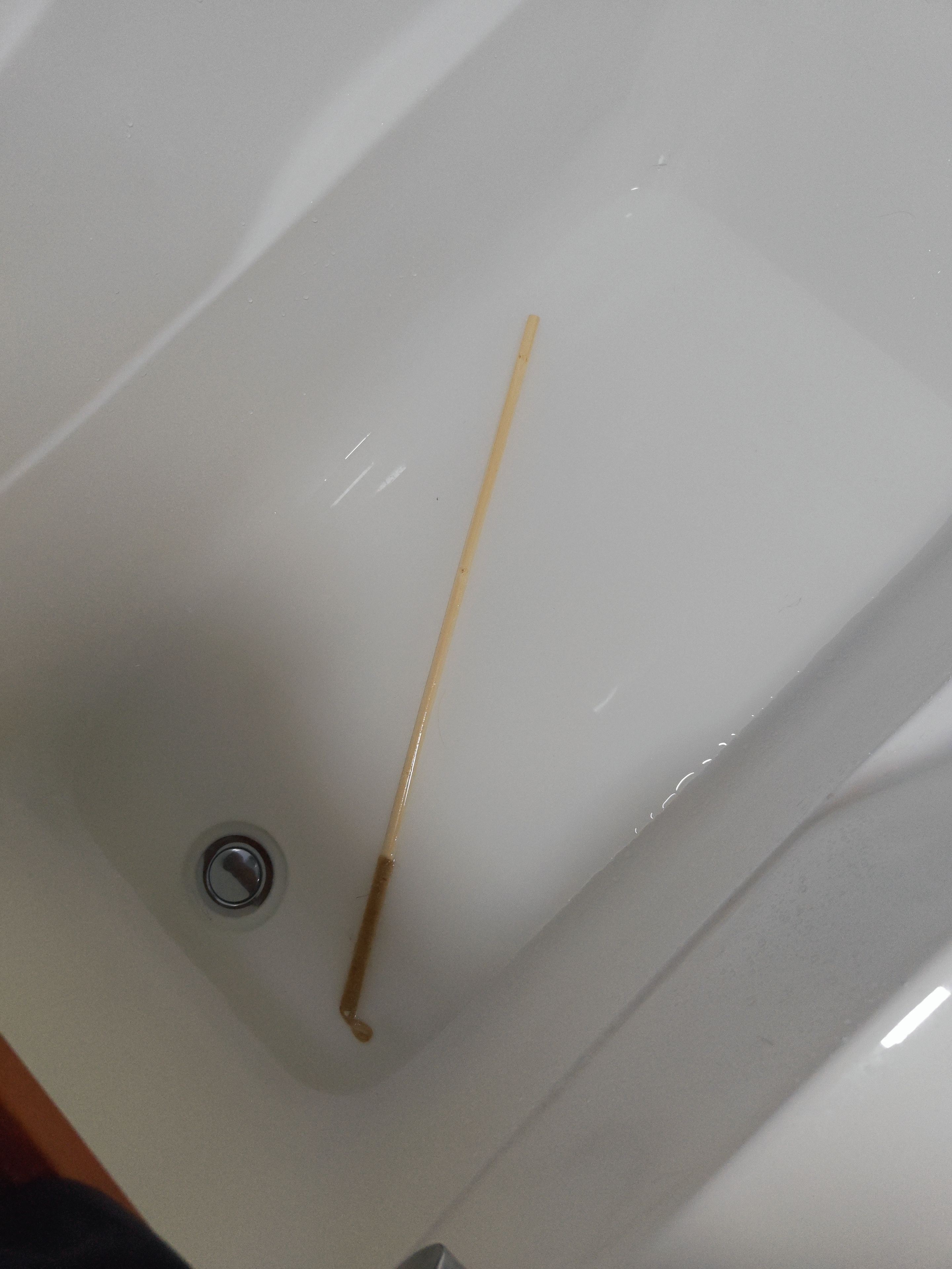 忙碌了一天的月月崽回家一看天塌了 