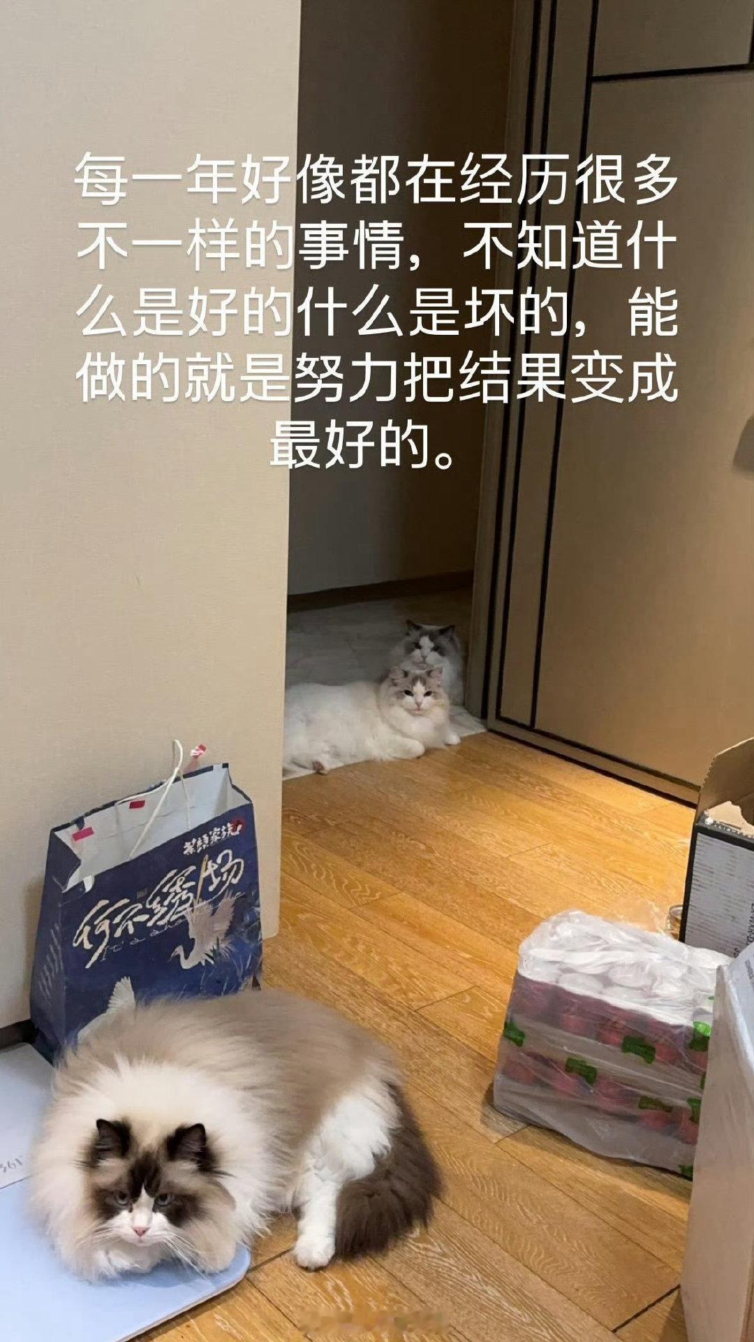 要离开TES了？Crisp更新ins：好运常在，改变就是好事此前有多个消息源透露