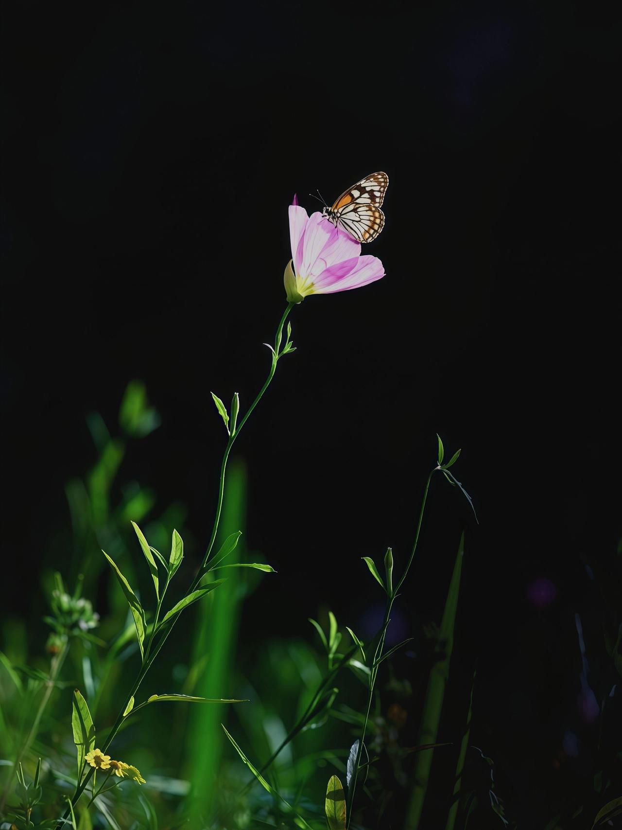 接待了一位高三学生的家长。这孩子其实十分优秀，就读于重点高中的重点班，成绩相当不