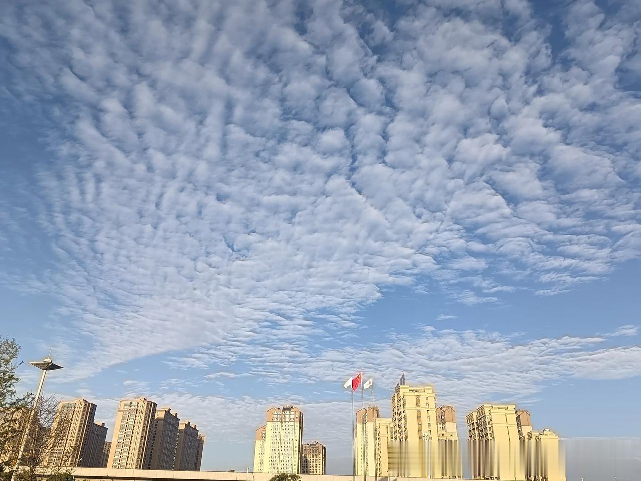 好漂亮的棉花云 