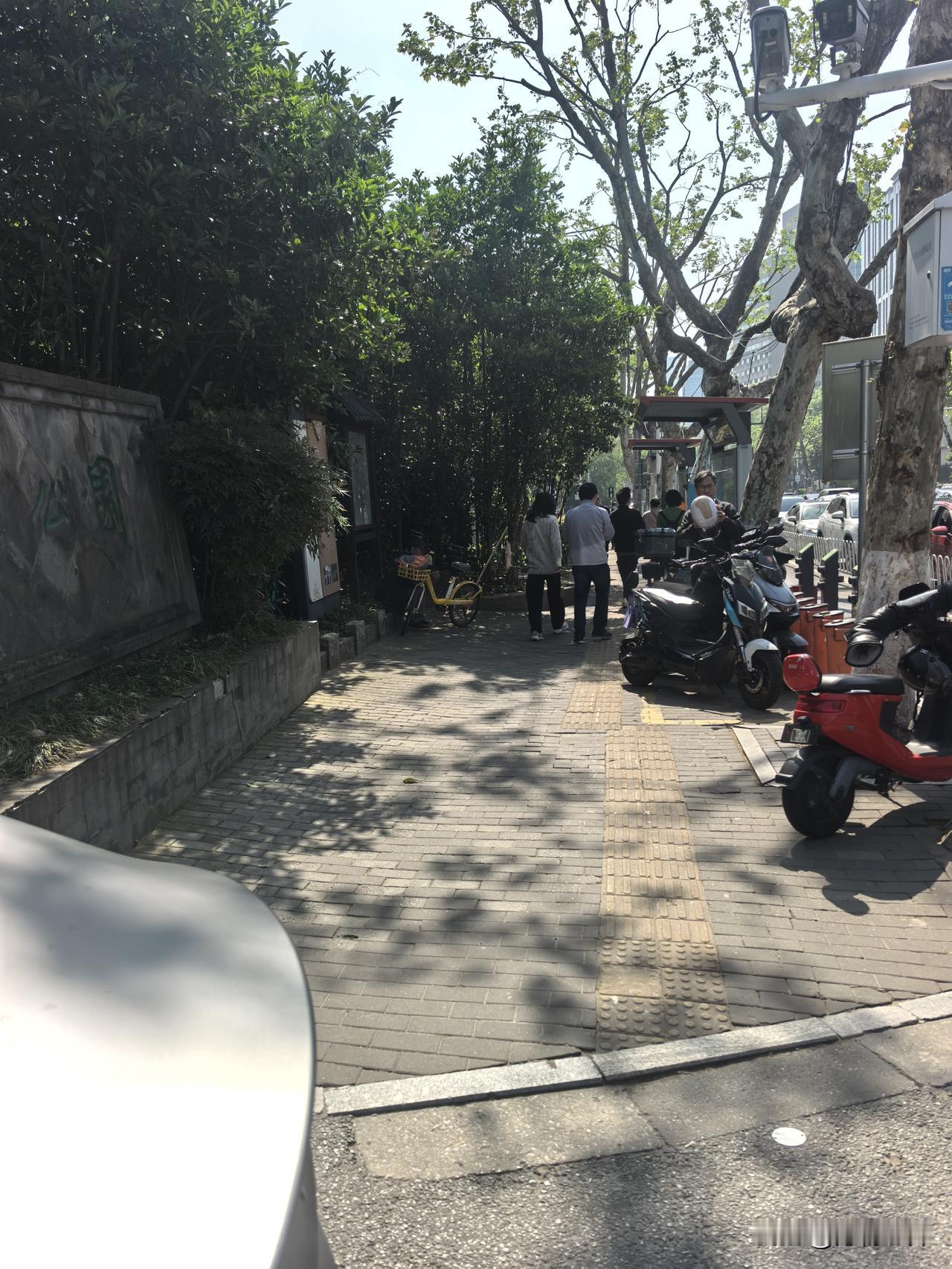 听了几天的海洋故事，今天竟然让我真遇到了。坐标地铁S7号线出口往人民医院路边。那