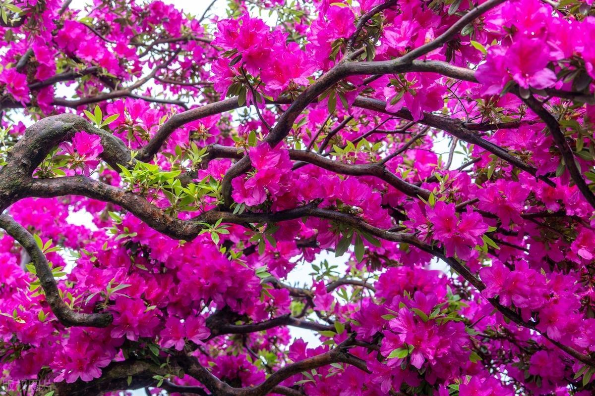 有些路，只能一个人走，有一天终究会在某个渡口离散，因缘而起，因缘而散。人生这条路