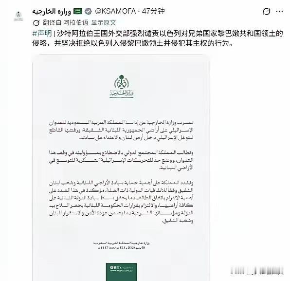 沙特终于要下场了？中东可能真要乱了

沙特外交部正式对外发布声明，直接指责以色列