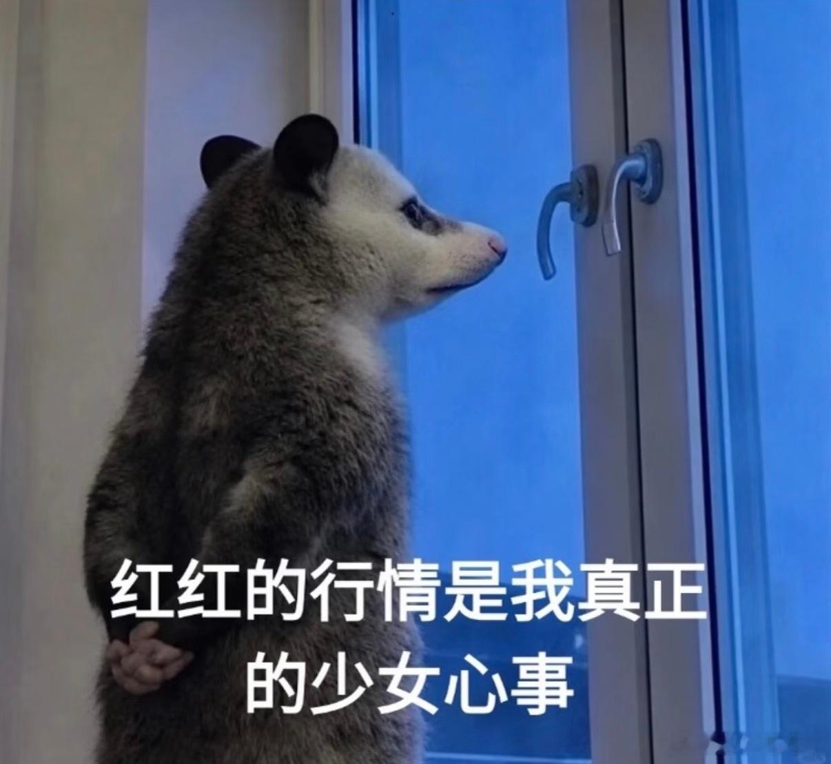 自从开始炒股买基金后假期真是索然无味🫩 