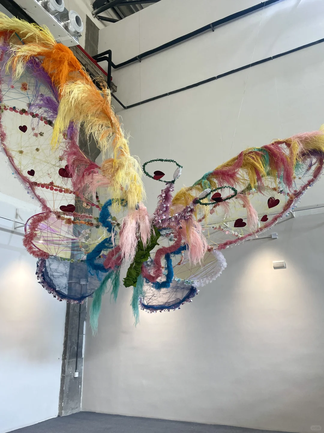 ADM展览🎨🍂11🈷️最值得看的展览！！