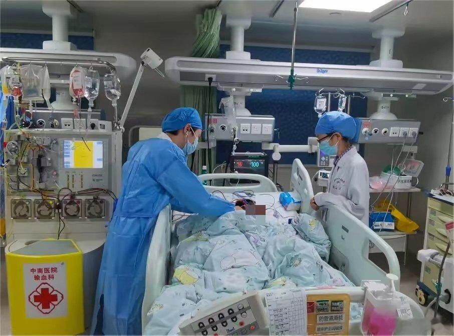 【被AI识别为“无毒”后湖北一家三口吃下剧毒蘑菇，9岁男孩抢救8天才脱险！】原本