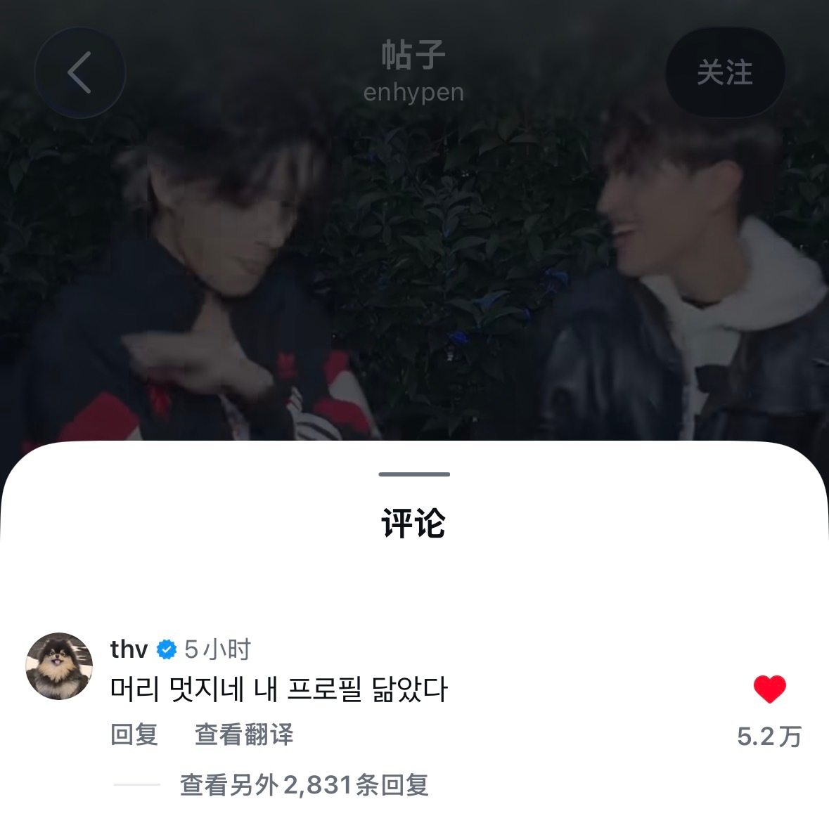金泰亨壁纸🌻金泰亨神图🐯头发很帅呢 和我的头像很像泰亨评论了后辈同款发色的帖