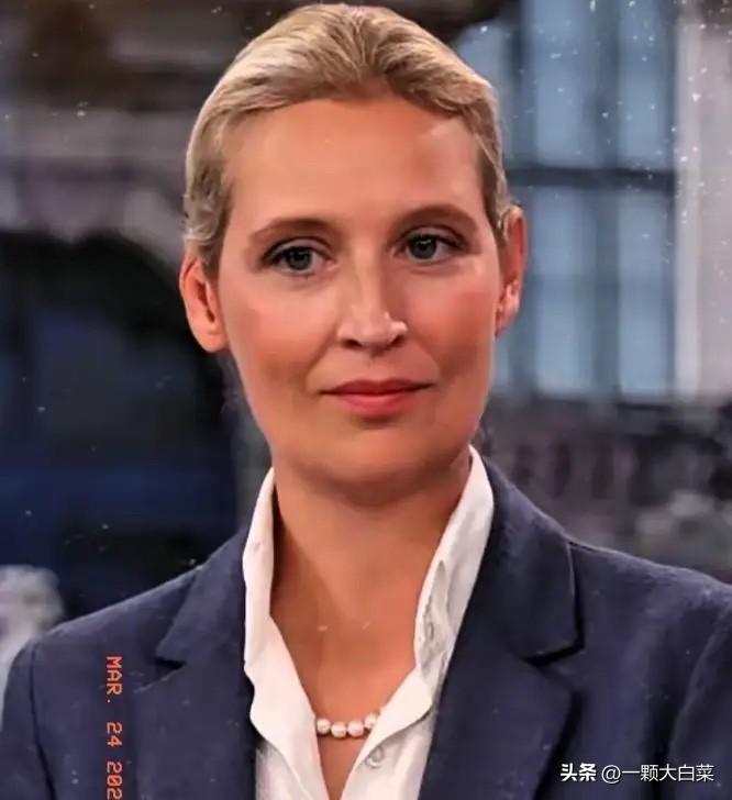 魏德尔一语惊醒欧洲：俄罗斯才是欧洲真正的自己人。

3月21日，22日，她接连批