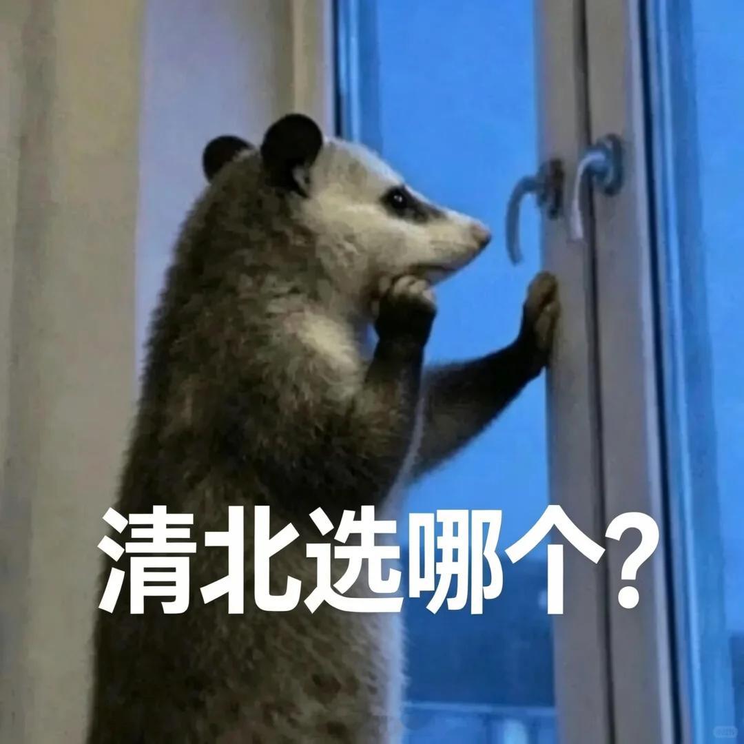 AI协助报志愿靠谱吗1400多万人用AI填志愿，而考生才1290万。等于不光考生