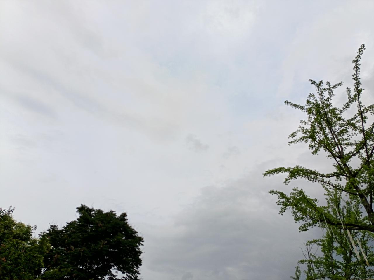借钱时，他百般讨好、阿谀奉承、好话说尽，甚至痛哭流涕、下跪、赌咒发誓，声泪俱下地