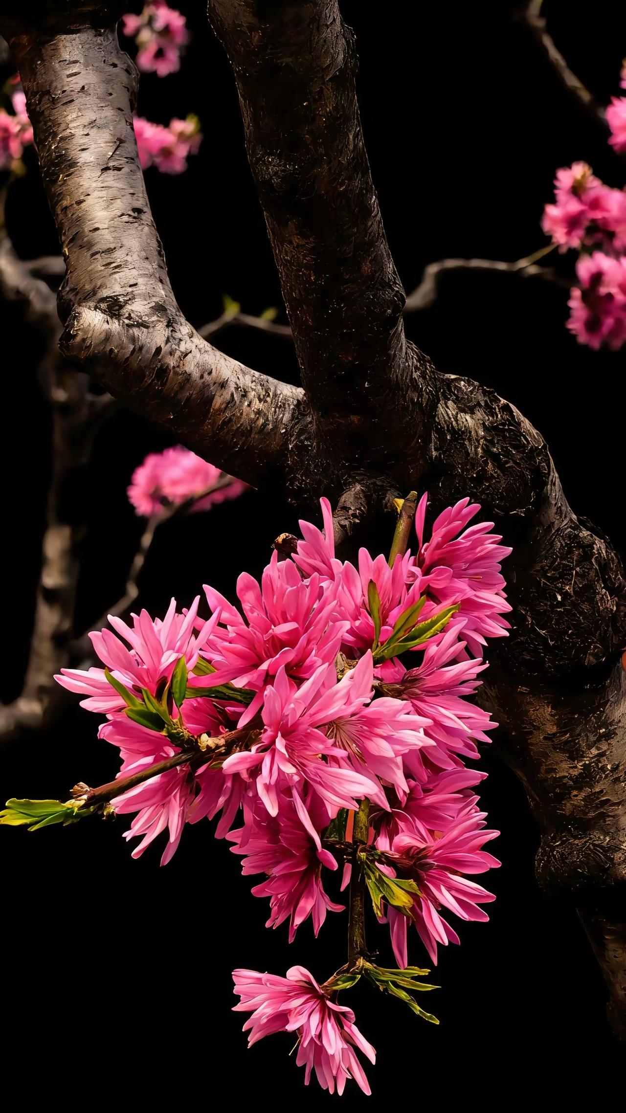 ——开悟
赚钱，就是改运，
早睡，就是济命，
读书，就是开悟，
自律，就是破局，