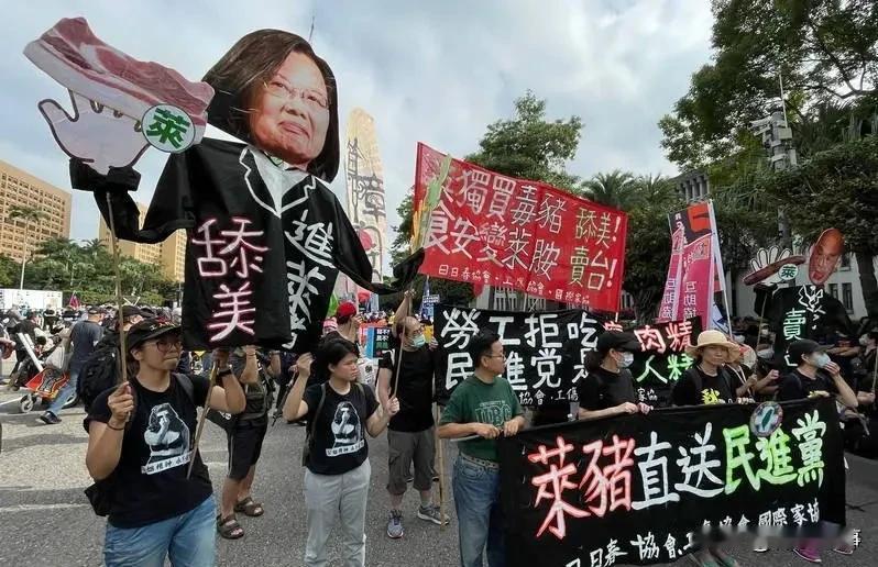 台湾岛内民众以这种方式送蔡英文最后一程！我们大陆网友也应该每人送蔡英文一句话……