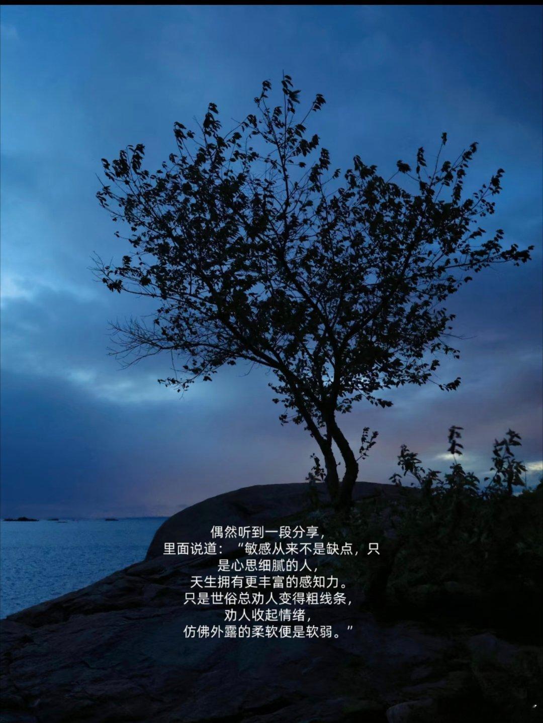 与敏感和解，是独属于自己的修行！ 