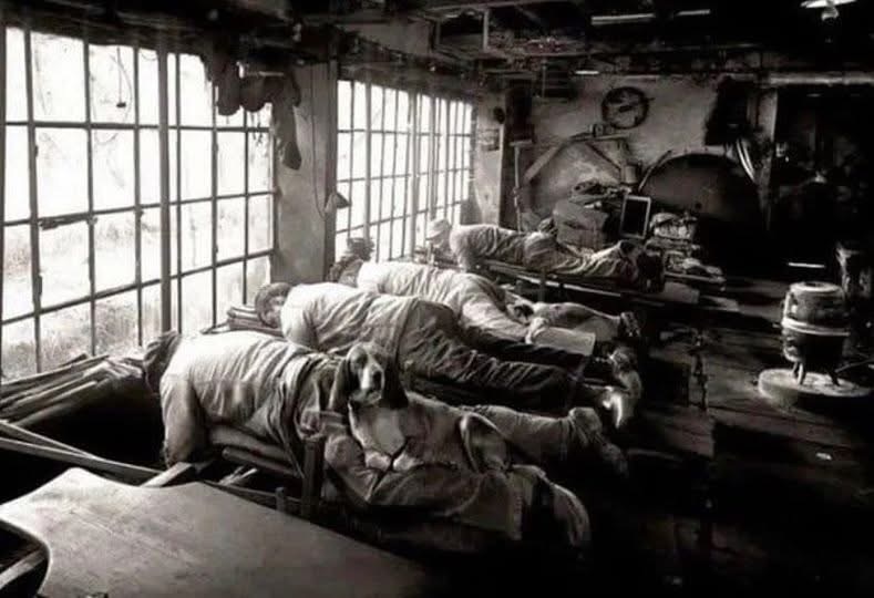 1902年，法国的磨刀工人和工作犬！磨刀需要哪门子的工作犬？事实上，因为磨刀工人