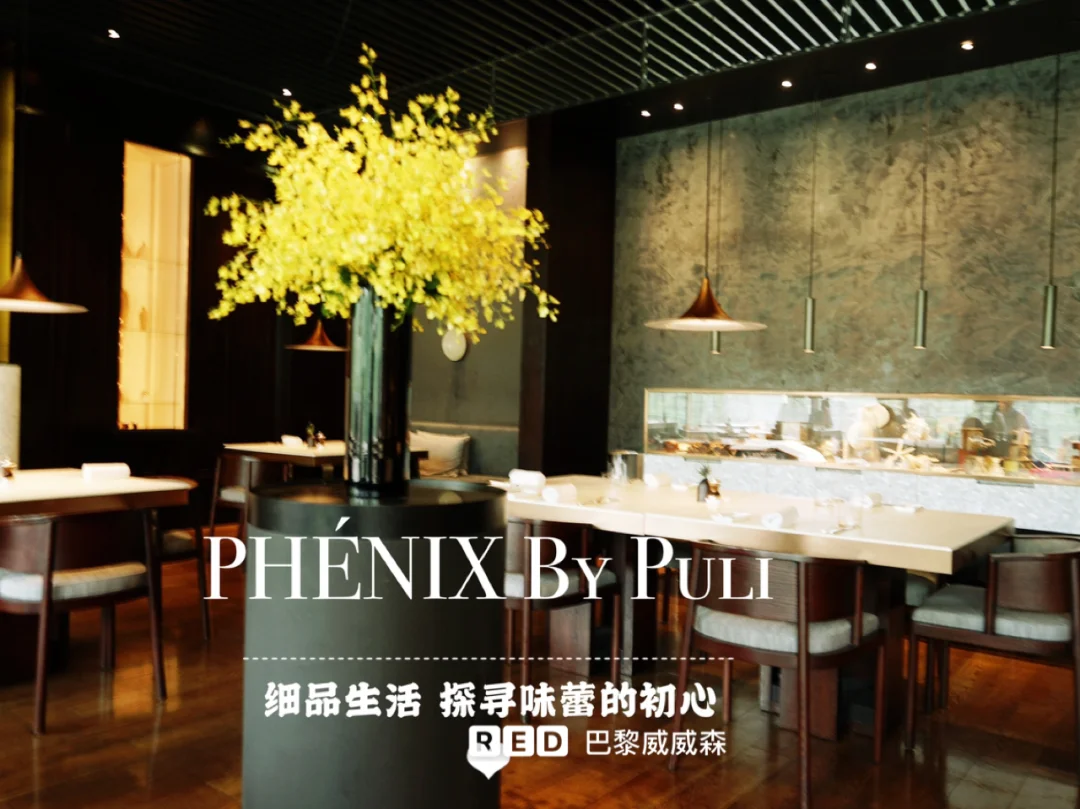 OOTD 魔都美食攻略 上海米其林一星餐厅🍴