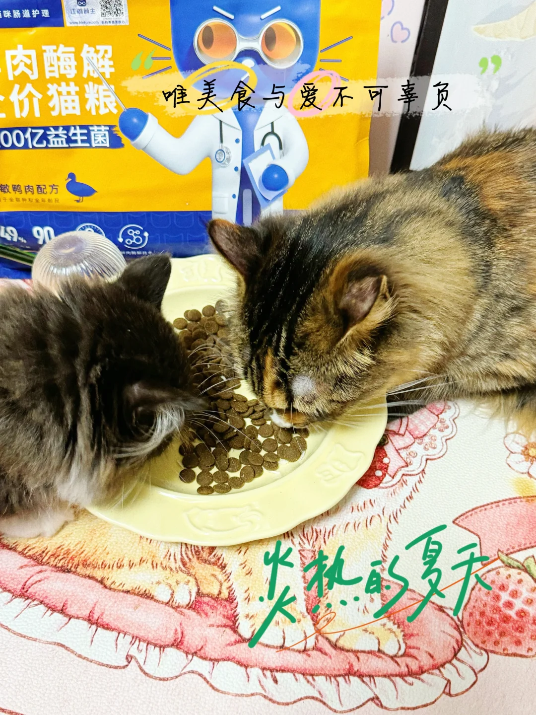 家有软便猫，谁愁谁知道！