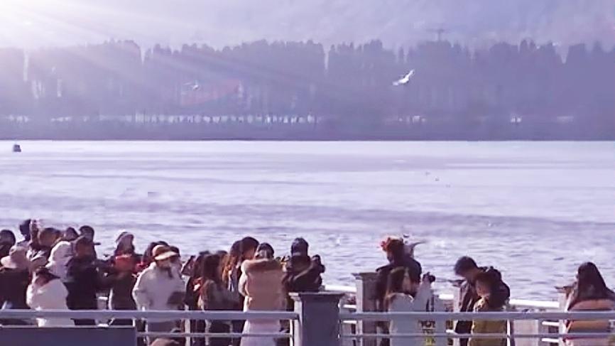 🔥刷屏！外地游客挤爆滇池喂红嘴鸥，40年之约太新奇。滇池边彻底沸腾！外地游客扎