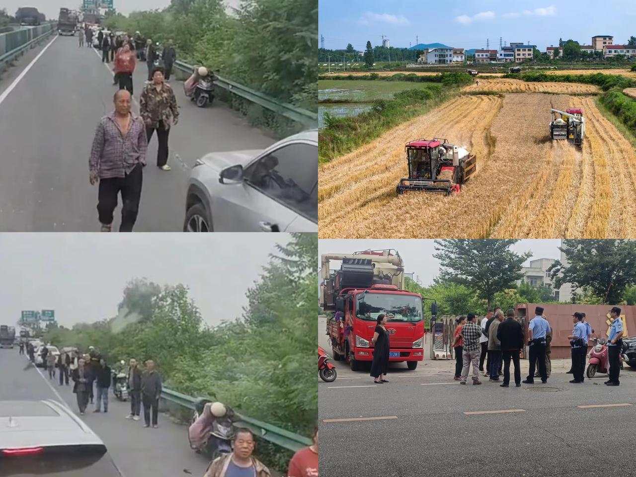 襄阳割麦这事儿，别光心疼等收麦的农户，被扣的农机手才更冤！千里迢迢赶来抢收，顶着