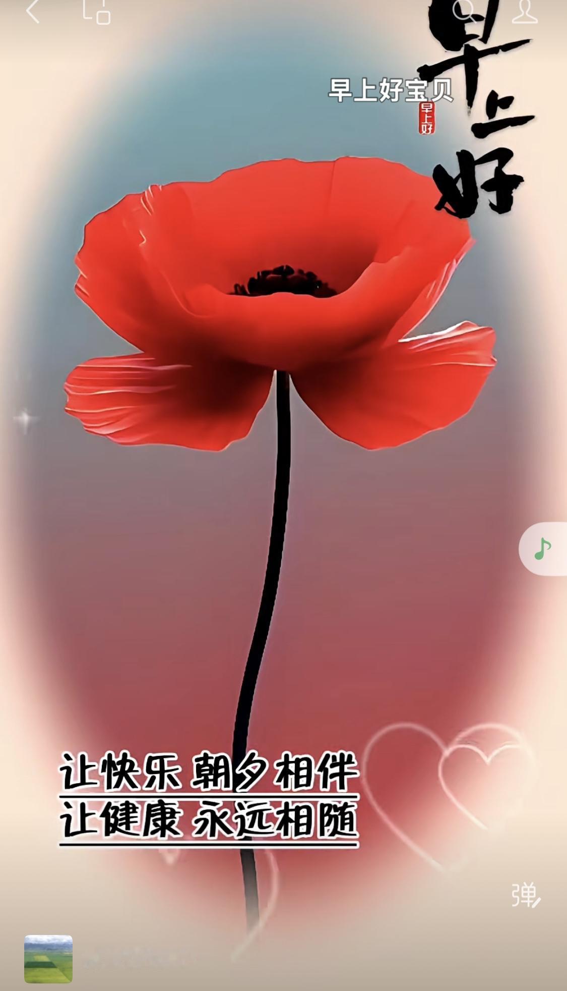 在自媒体中有一批反董挺俞的群体，初心是反饭圈反网暴反网红经济造神，尤其是把把主播