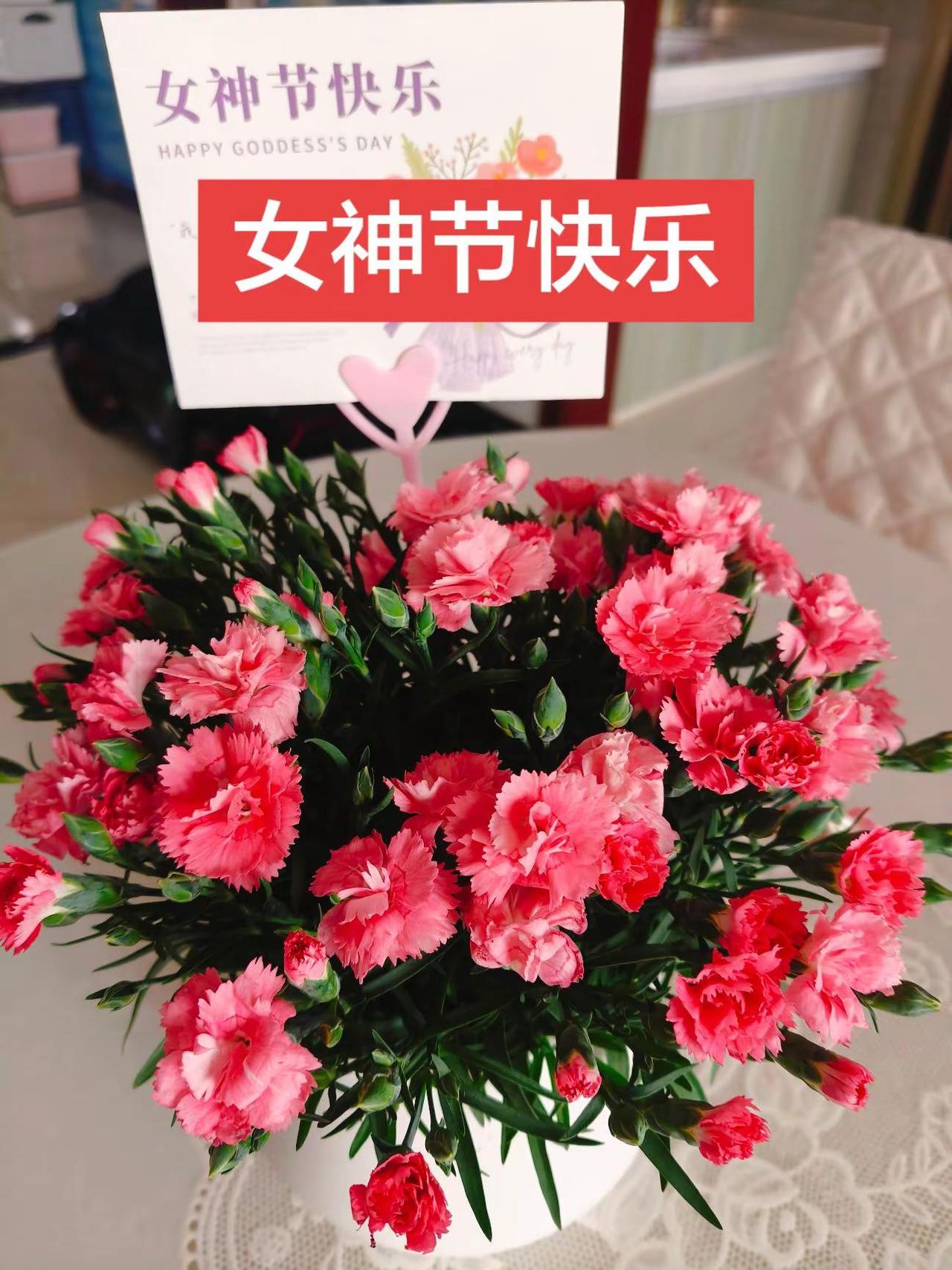 美丽的油菜花，节日气围感 花海拍照，女神节快乐❤️🎉