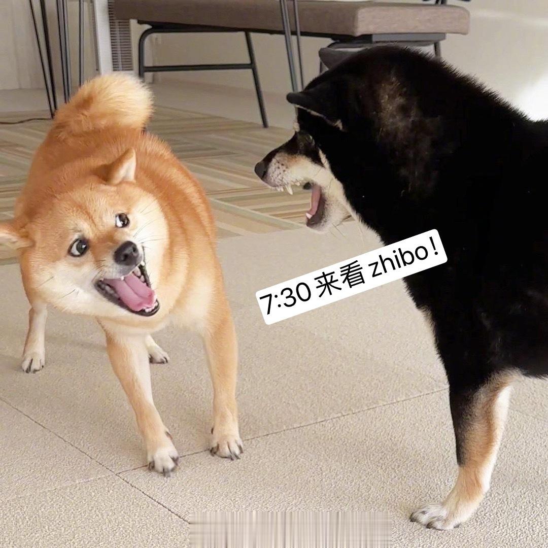 今晚7:30见面！可别忘了！🍊 ​​​