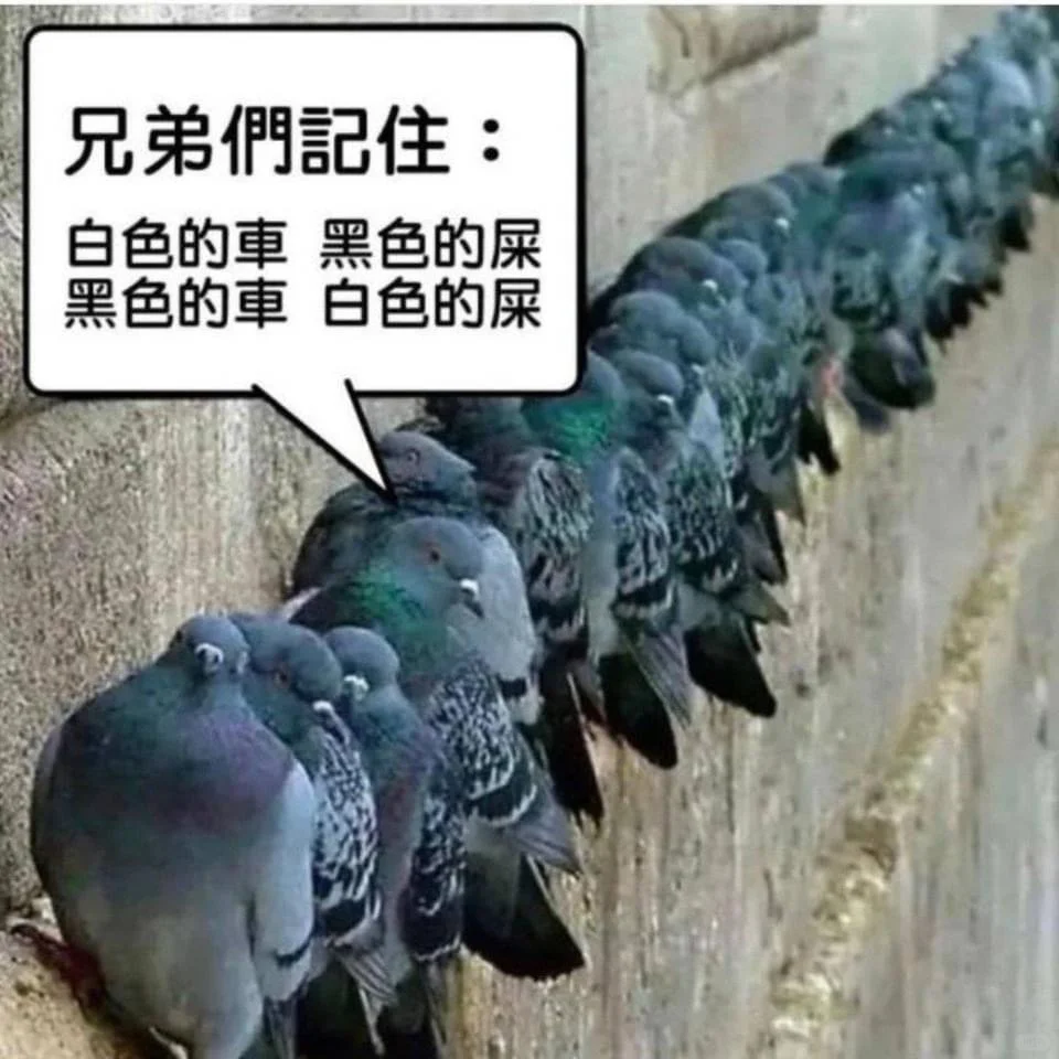 这感情是团伙作案？