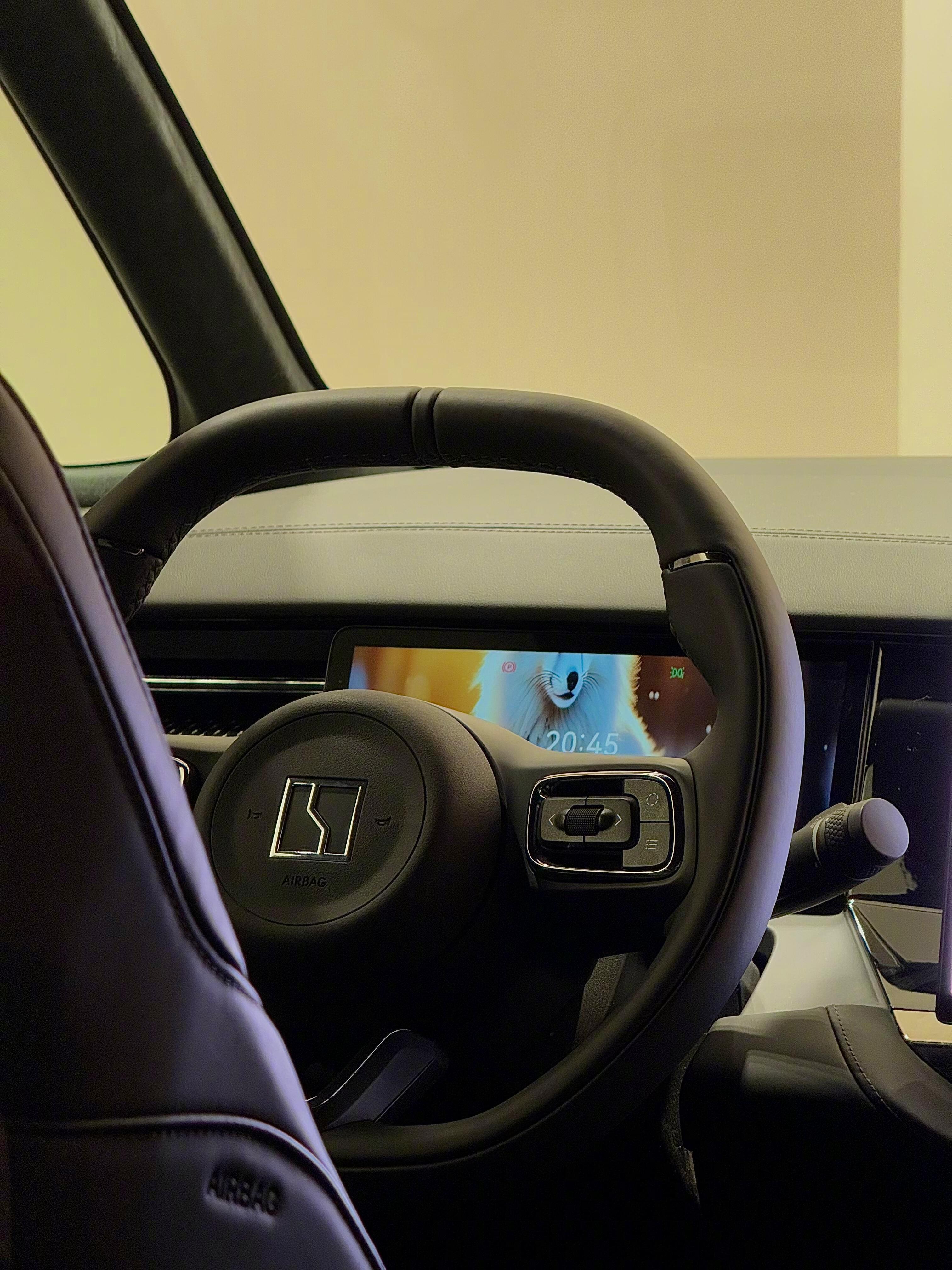 极氪009mpv 🚗✅ 优点1.以颠覆性动力与超快充，致敬燃油时代的“V12”