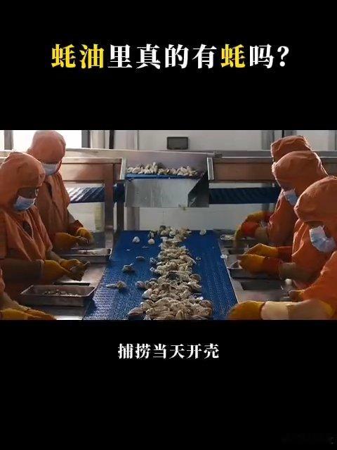 蚝油里真的有蚝吗冷知识刷新认知，老祖宗早就掌握生蚝熬鲜的智慧，福建蛎露流传已久，