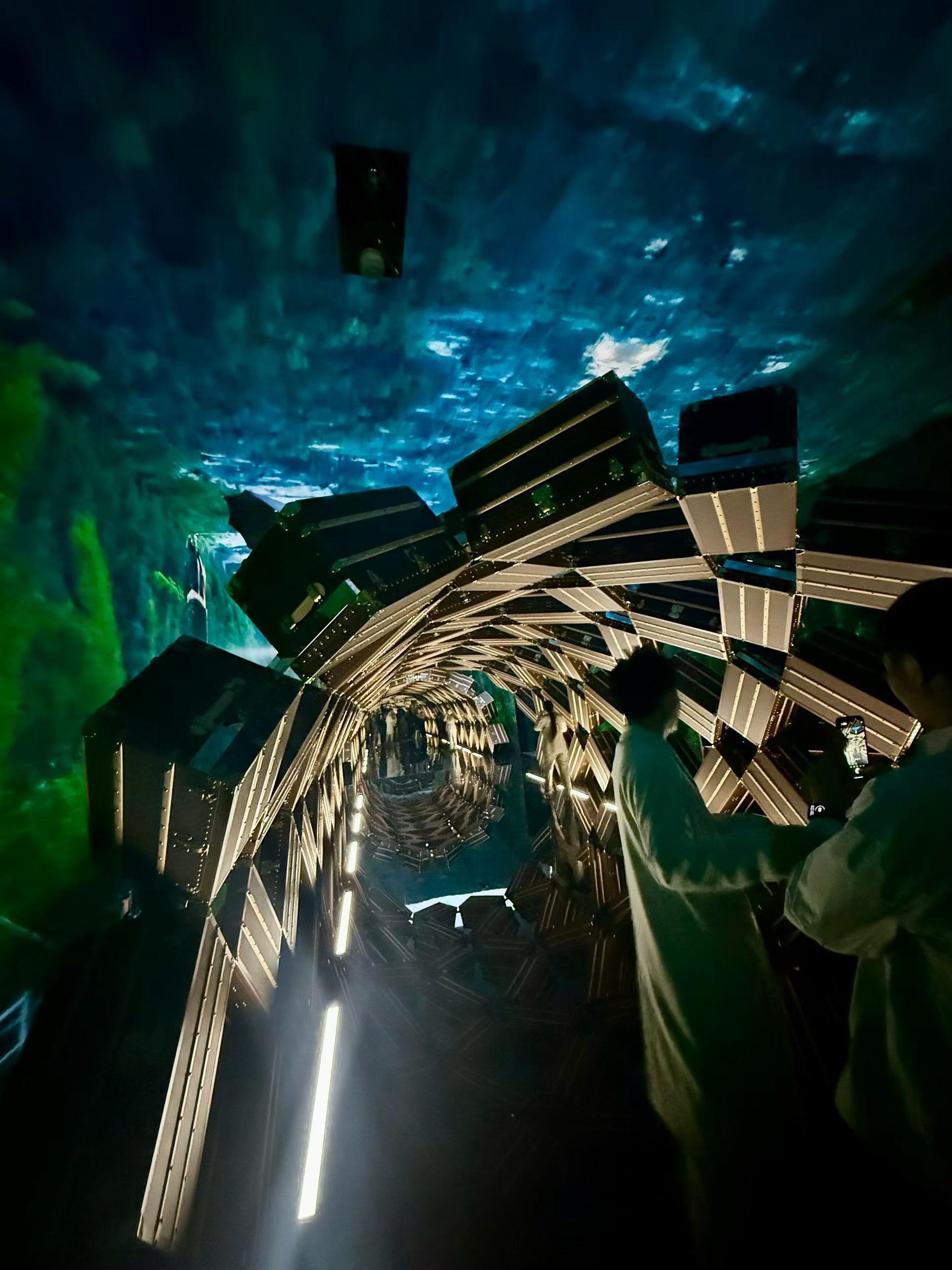 终于成功上船了