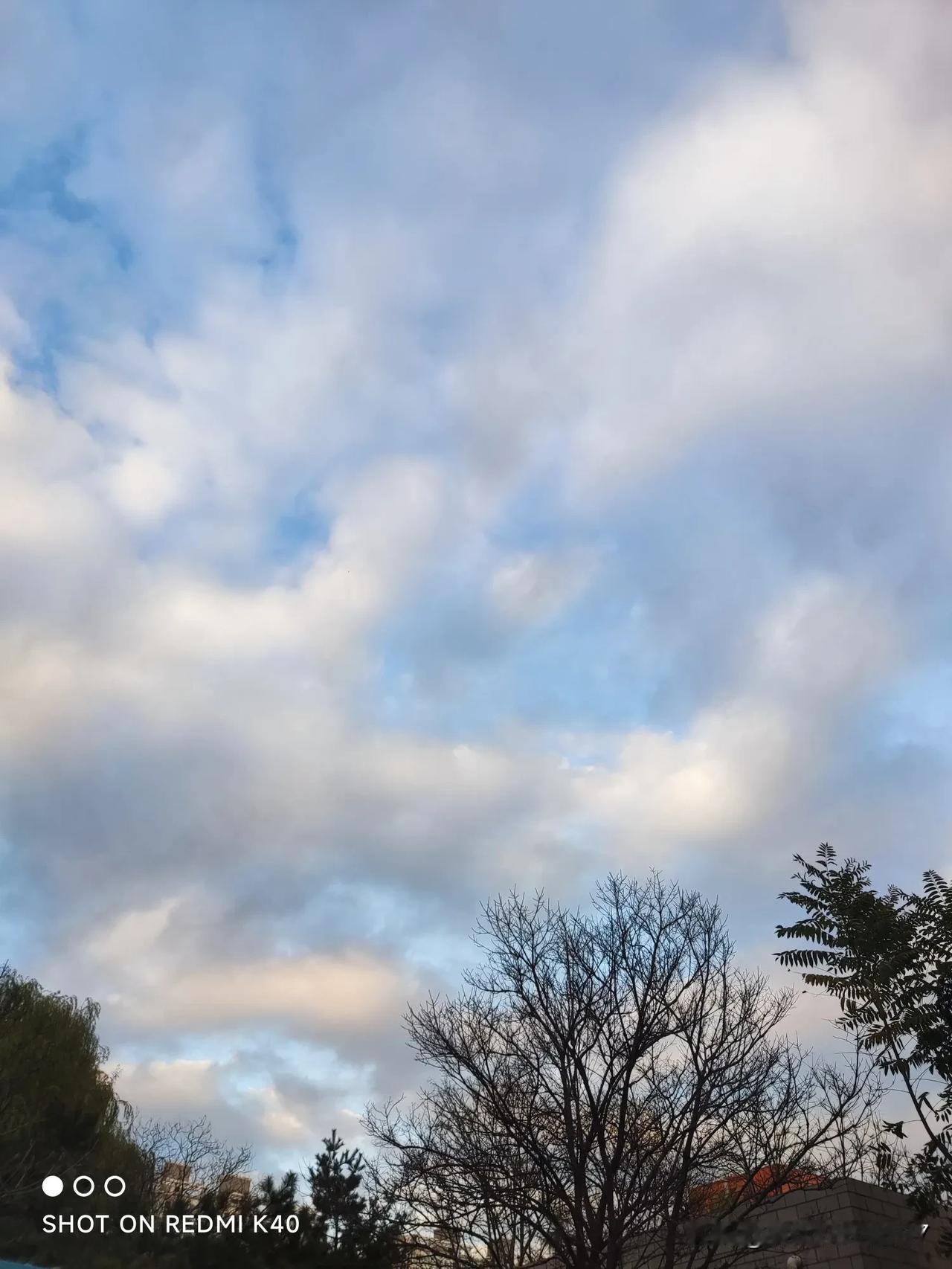 这两天儿子参加了研究生考试，也没有什么能帮到他，心里很愧疚。他发微信说没考好，许