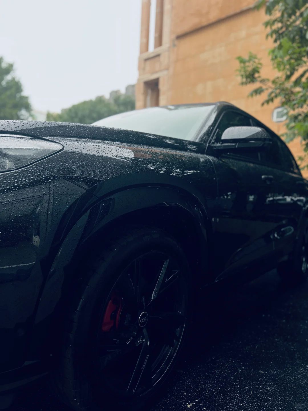 【吐血整理】Q6，性价比之王🚗💰